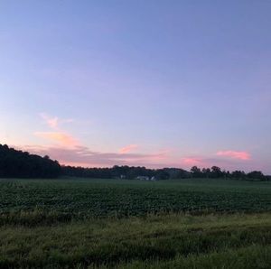 Meet your Posher, Elliot